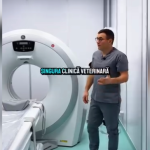 video singurul computer tomograf veterinar din dobrogea instalat la spitalul vetzone din constanta 693d4d85120cd