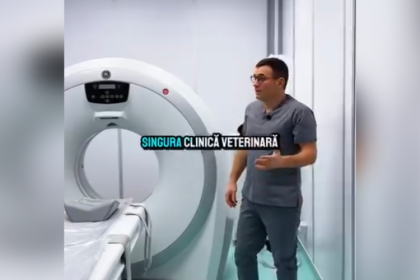 video singurul computer tomograf veterinar din dobrogea instalat la spitalul vetzone din constanta 693d4d85120cd