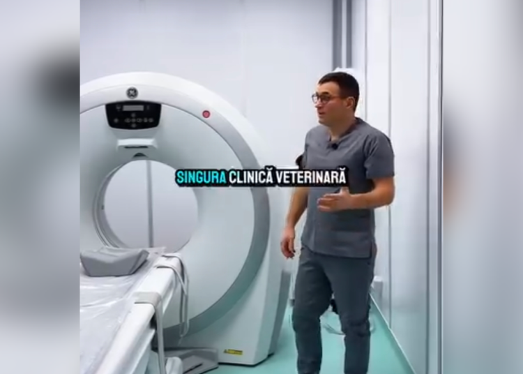 video singurul computer tomograf veterinar din dobrogea instalat la spitalul vetzone din constanta 693d4d85120cd