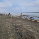 actiuni de hranire a pasarilor din arealul rezervatiei delta dunarii 696b6b128ab6c