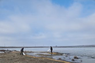 actiuni de hranire a pasarilor din arealul rezervatiei delta dunarii 696b6b128ab6c