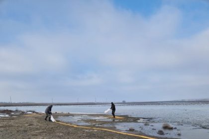 actiuni de hranire a pasarilor din arealul rezervatiei delta dunarii 696b6b128ab6c