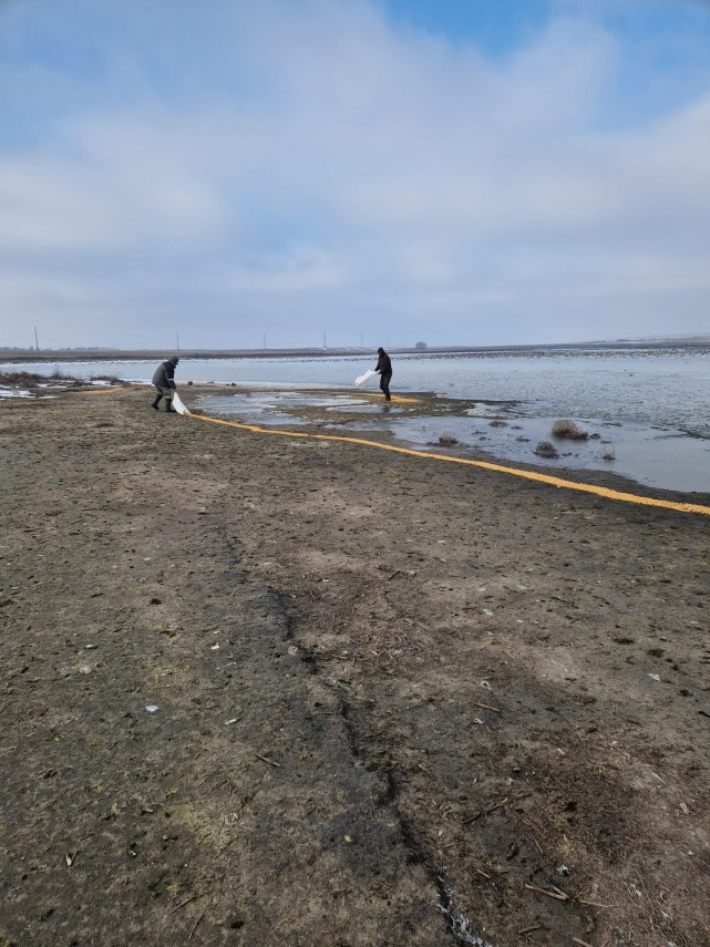 actiuni de hranire a pasarilor din arealul rezervatiei delta dunarii 696b6b128ab6c