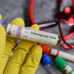 alerta in romania primul caz de virus chikungunya confirmat la un barbat venit din africa 697c76a9ec2f5