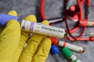 alerta in romania primul caz de virus chikungunya confirmat la un barbat venit din africa 697c76a9ec2f5
