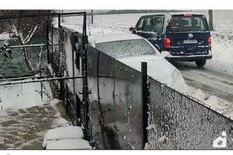 barbatul care a abandonat un caine in ger la marginea localitatii 23 august a fost identificat si amendat 696231a9ac727