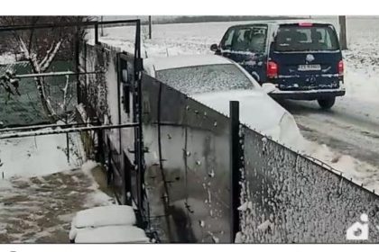 barbatul care a abandonat un caine in ger la marginea localitatii 23 august a fost identificat si amendat 696231a9ac727