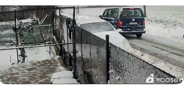 barbatul care a abandonat un caine in ger la marginea localitatii 23 august a fost identificat si amendat 696231a9ac727