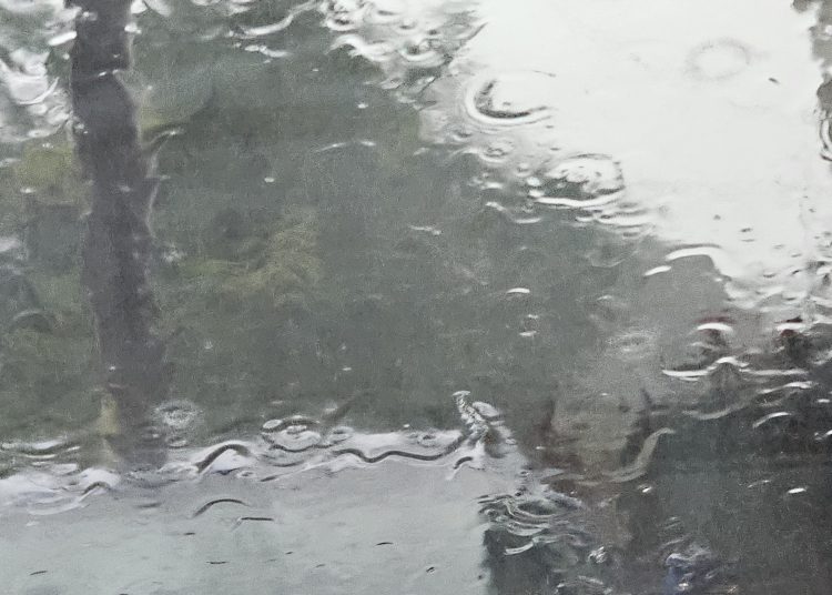 cod portocaliu si galben de ploi torentiale si lapovita in mai multe judete 69773ec60add2