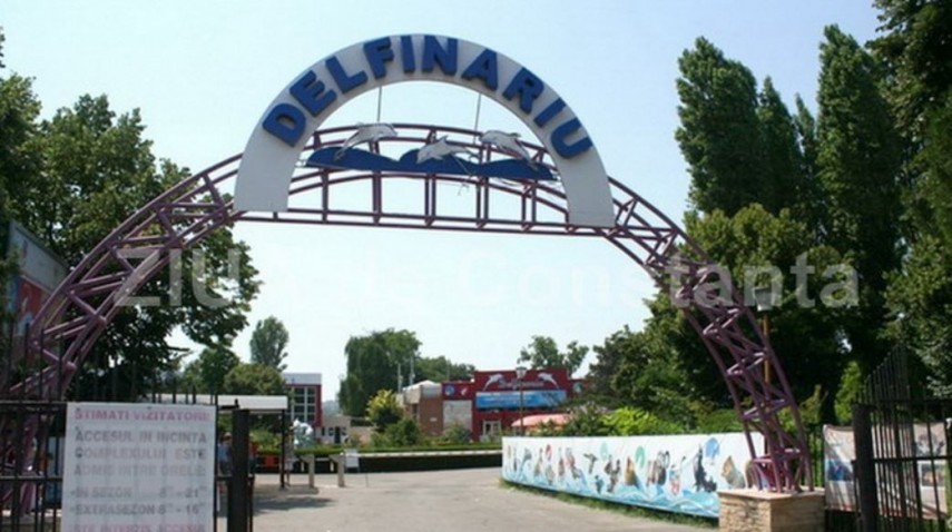 complexul muzeal de stiinte ale naturii constanta adresa date de contact si conducere 696a242139410