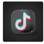 cont fals pe tik tok in numele criminalului de 13 ani de la cenei ce texte s au postat 697772d5d890f