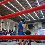 cupa elite fighting championship editia a treia va cuprinde si patru piramide 69651d3f48c41