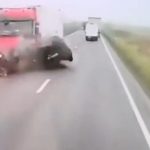 doi dintre cetatenii greci raniti in accidentul din judetul timis transportati cu un avion in grecia 697b479d02aa2