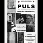 expozitia p u l s organizata de centrul cultural judetean constanta teodor t burada 697cce32a4093