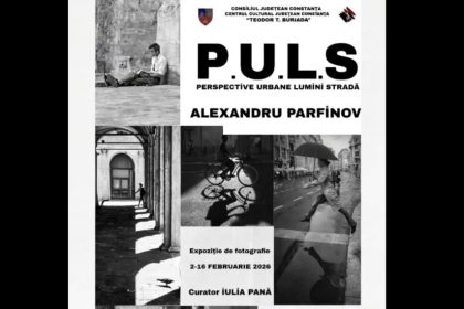 expozitia p u l s organizata de centrul cultural judetean constanta teodor t burada 697cce32a4093