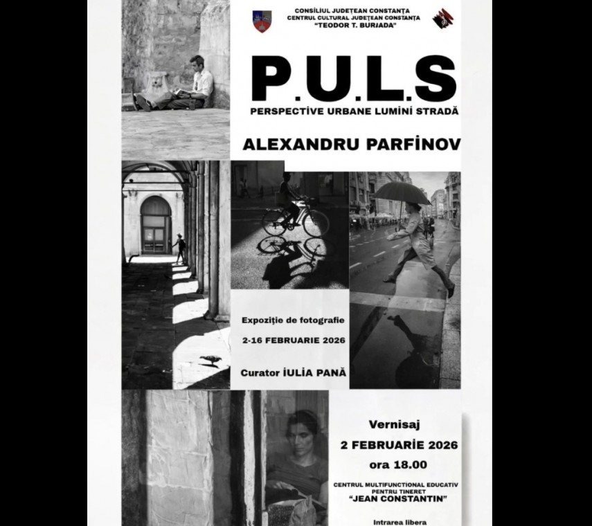 expozitia p u l s organizata de centrul cultural judetean constanta teodor t burada 697cce32a4093