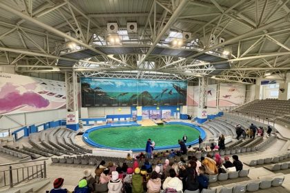 extinderea delfinariului din constanta aproape finalizata 697c068f2289c