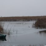 foto linistea deplina a deltei cum arata diminetile geroase in paradisul apelor 6963cbe4a0ed7