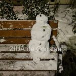 foto video spiritul iernii surprins pe o banca din constanta 695fe1f218ae1