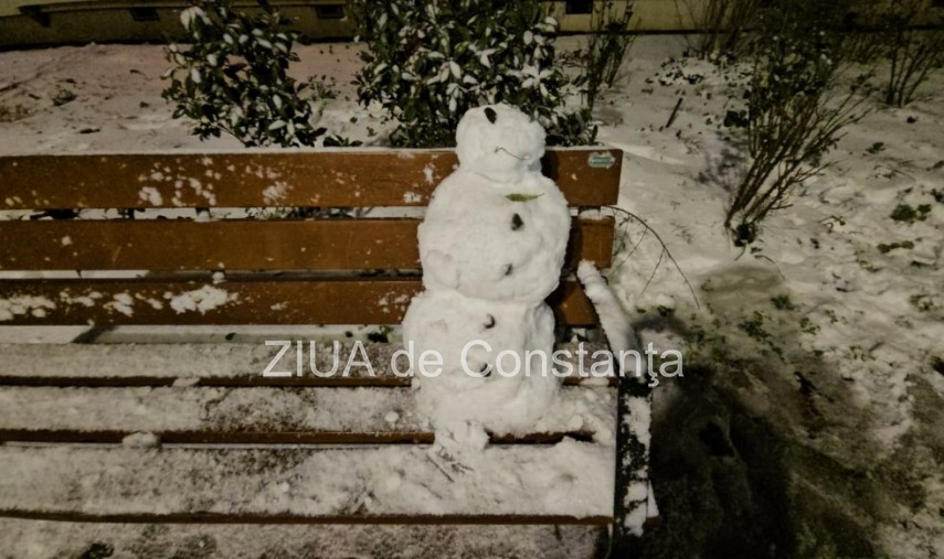 foto video spiritul iernii surprins pe o banca din constanta 695fe1f218ae1