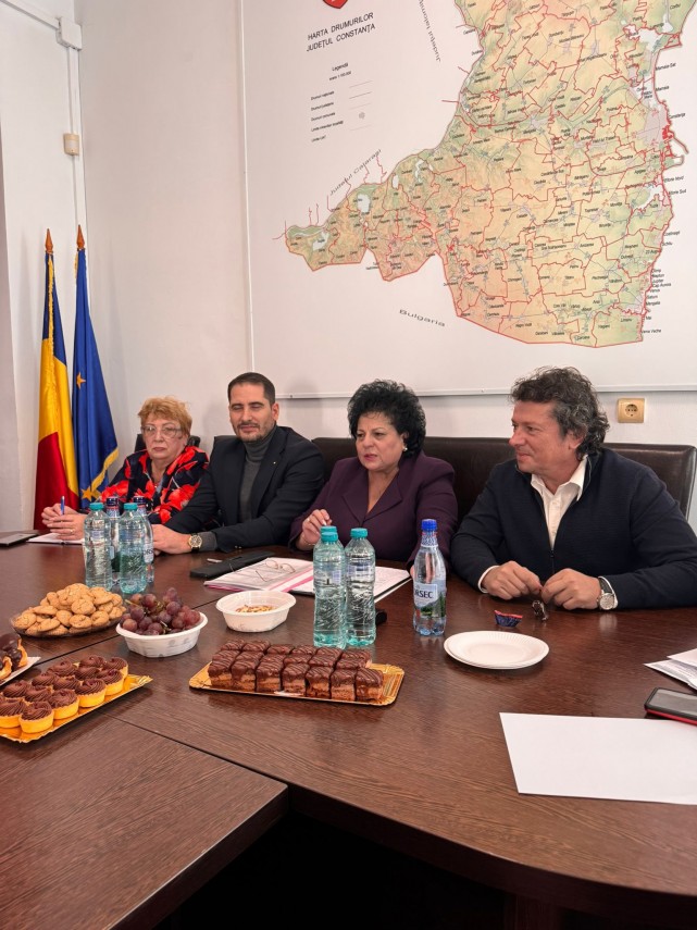 intalnire de lucru cu organizatia judeteana de femei social democrate din constanta 697b0f73b78f1