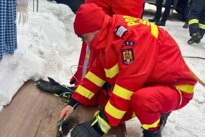 interventie de urgenta pentru salvarea unui catel dintr un incendiu salvatorii smurd au intervenit in sprijinul animalului 696926fb43637