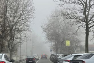 judetele constanta si tulcea sub cod galben de ceata 695cb67e9a2df