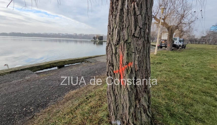 mai multi copaci din parcul tabacarie au fost taiati in zona au loc lucrari de reabilitare si consolidare a malurilor lacului 69787aad0ae6a