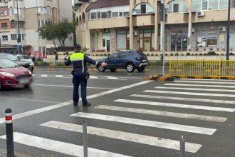 mai multi soferi din constanta au ramas fara permis de conducere pentru ca nu au acordat prioritate la trecerea de pietoni 6970df6ac616a