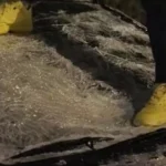 masini vandalizate dupa o provocare pe tiktok 6963b78640b23