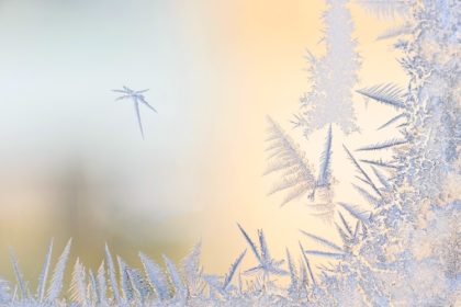 meteo ninsori abundente si ger pana in februarie 6965f10eca632