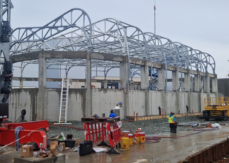 o noua licitatie pentru extinderea delfinariului 695eb360c2283