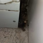 peste 1 700 de operatori economici verificati de anpc au fost aplicate amenzi de aproximativ 57 milioane de lei 69737ef7b3579