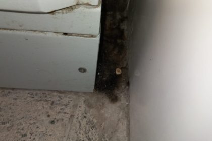 peste 1 700 de operatori economici verificati de anpc au fost aplicate amenzi de aproximativ 57 milioane de lei 69737ef7b3579