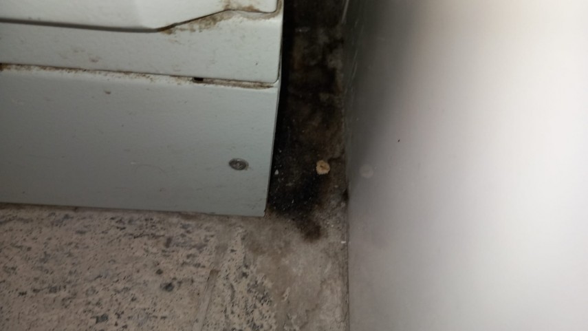 peste 1 700 de operatori economici verificati de anpc au fost aplicate amenzi de aproximativ 57 milioane de lei 69737ef7b3579