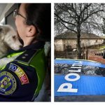 politistii constanteni au verificat in kogalniceanu fantanele si mangalia cum au grija proprietarii de animale pe timp de ger s a lasat cu amenzi 697caef3e234b