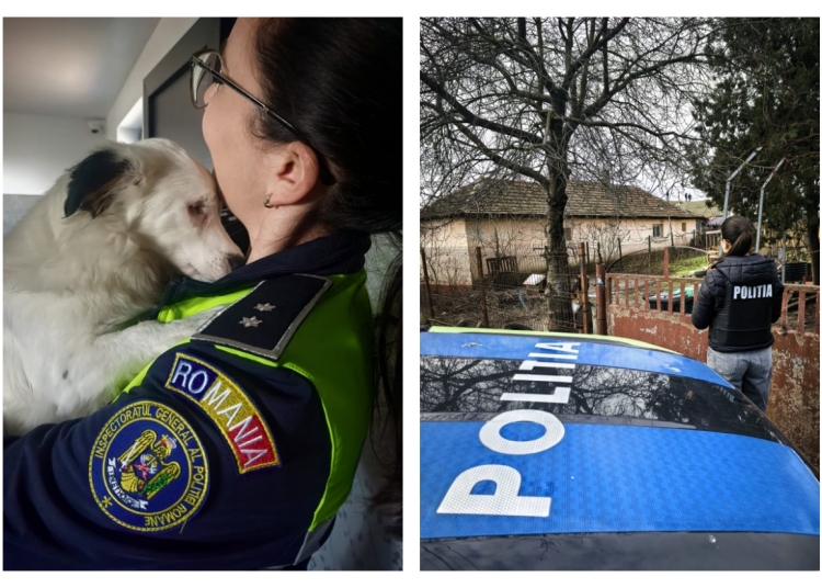 politistii constanteni au verificat in kogalniceanu fantanele si mangalia cum au grija proprietarii de animale pe timp de ger s a lasat cu amenzi 697caef3e234b