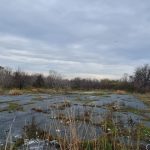 puz pentru blocuri de 24 de etaje aprobat cu voturile psd si pnl 697c80943374d