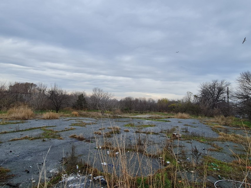 puz pentru blocuri de 24 de etaje aprobat cu voturile psd si pnl 697c80943374d
