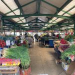 regulamentul activitatilor comerciale discutat in prima sedinta ordinara a consiliului local constanta din 2026 69732e0f1665a