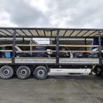 trei autoturisme furate si dezmembrate in valoare de aproximativ 320 000 de euro depistate in portul constanta 697b523e3e48b