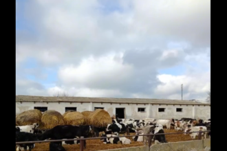 video dsvsa constanta intalnire cu reprezentanti ai primariei silistea si cu crescatorii de animale din zona 697a056c1c386