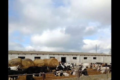 video dsvsa constanta intalnire cu reprezentanti ai primariei silistea si cu crescatorii de animale din zona 697a056c1c386