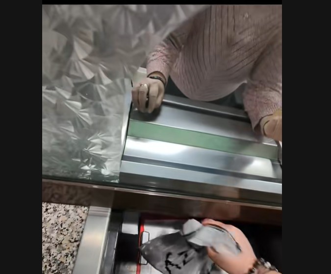 video gestul viral al unui barbat din suceava dupa ce a aflat noile