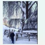 video politistii din alba au parcurs kilometri prin zapada pentru a salva singurul locuitor al unui sat izolat 69615da115cf0