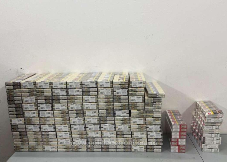 video tigari de contrabanda in valoare de 84 600 de lei descoperite la frontiera cu bulgaria 6975f43219c0f