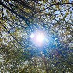 vremea in februarie va fi mai calda decat in mod normal meteorologii au actualizat estimarile 6973355d88d90