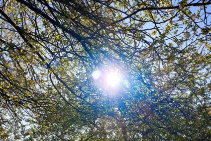 vremea in februarie va fi mai calda decat in mod normal meteorologii au actualizat estimarile 6973355d88d90