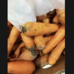 actiune ampla din partea anpc peste 1 900 de operatori verificati si amenzi de peste 572 milioane lei 69a1984e97d82