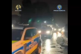 actiune diicot si politie in bucuresti si ilfov 36 de perchezitii vizand camata si trafic de droguri 698744ccd26e2